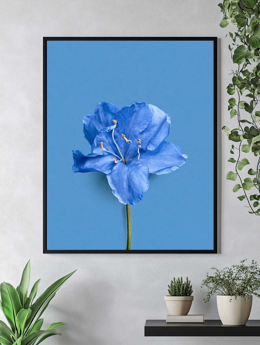 Blue Flower Minimalist Print. — room view 4