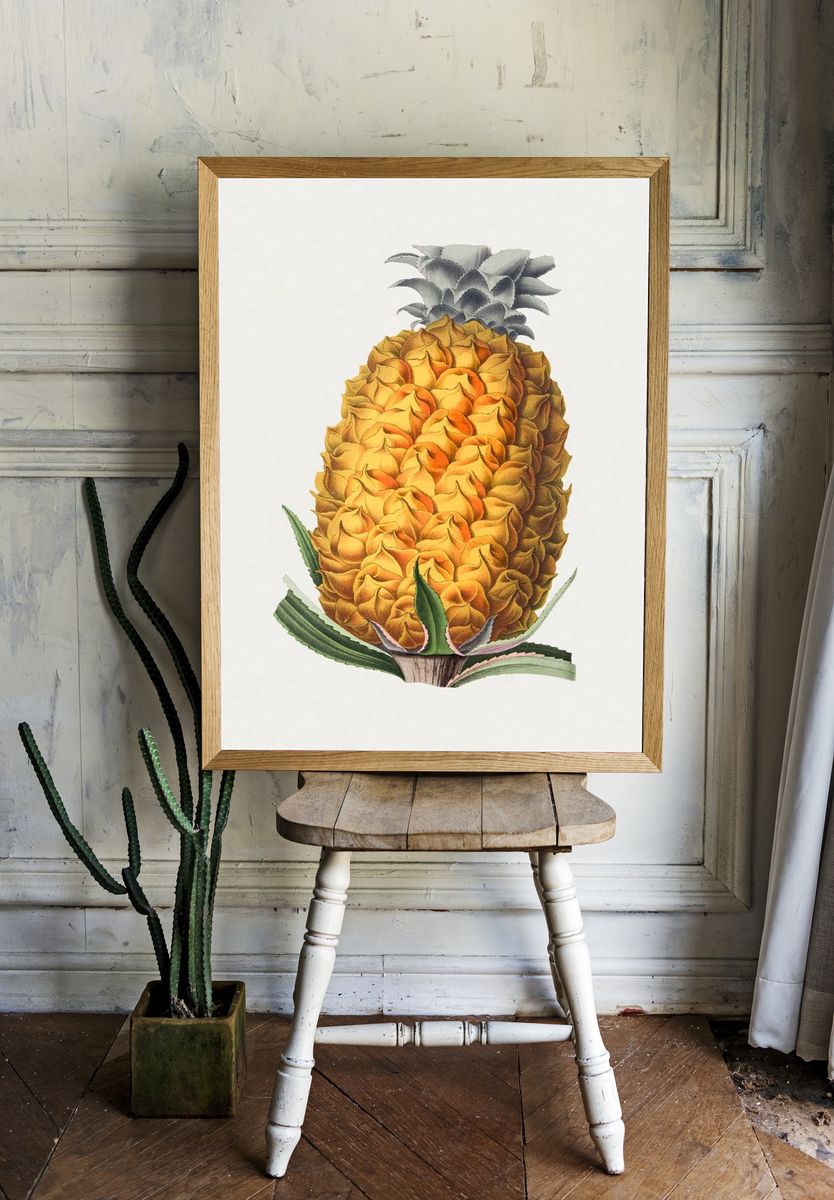 Pineapple Botanical Illustration Poster. room preview