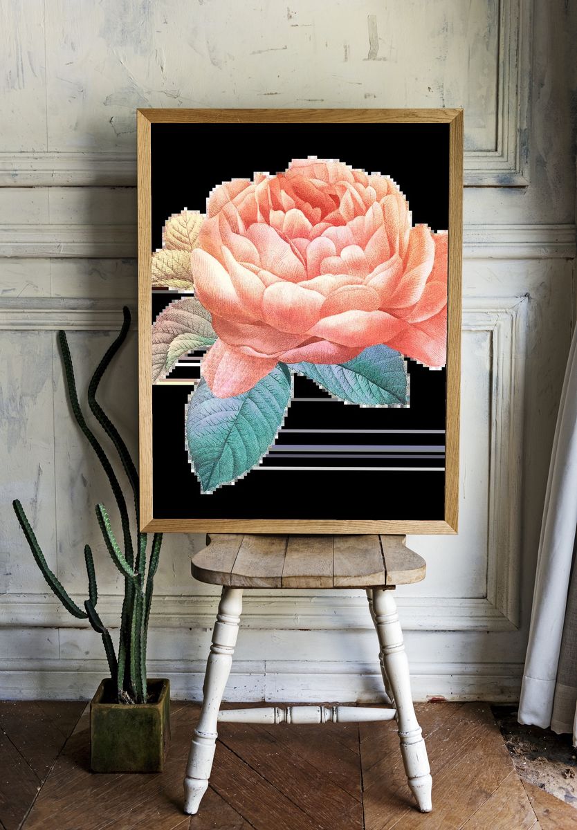 Natural green Calathea Orbifolia pink room preview