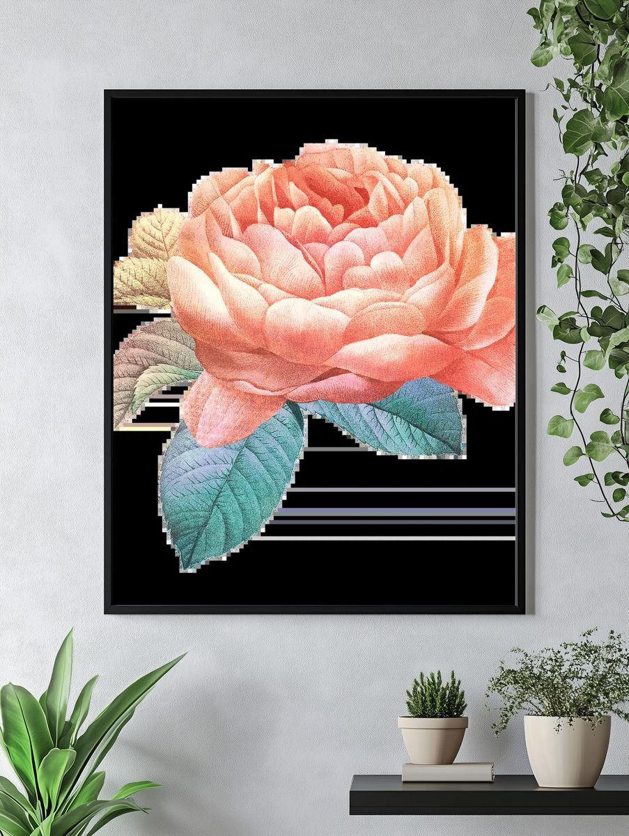 Natural green Calathea Orbifolia pink. — room view 4