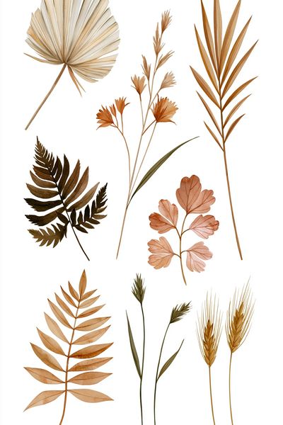 Autumn Botanical Leaves Print. poster print