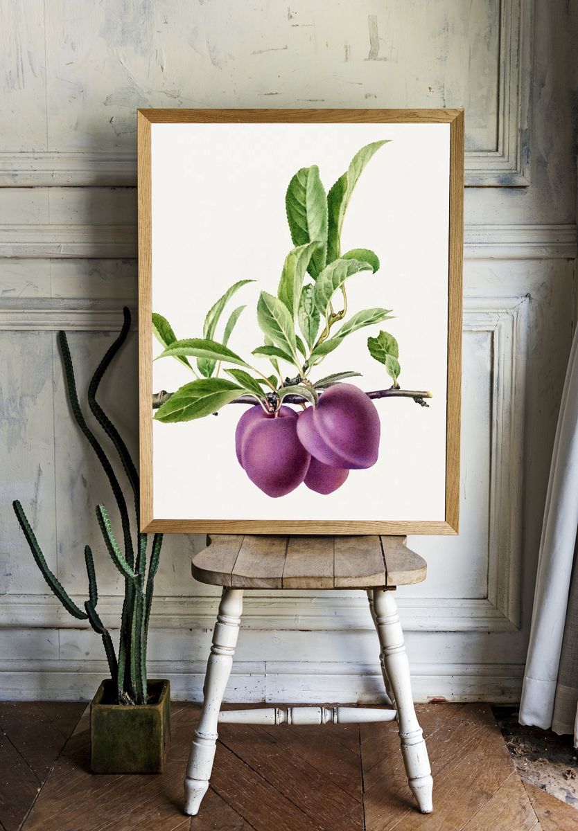 Delicious purple plum branch illustration. room preview