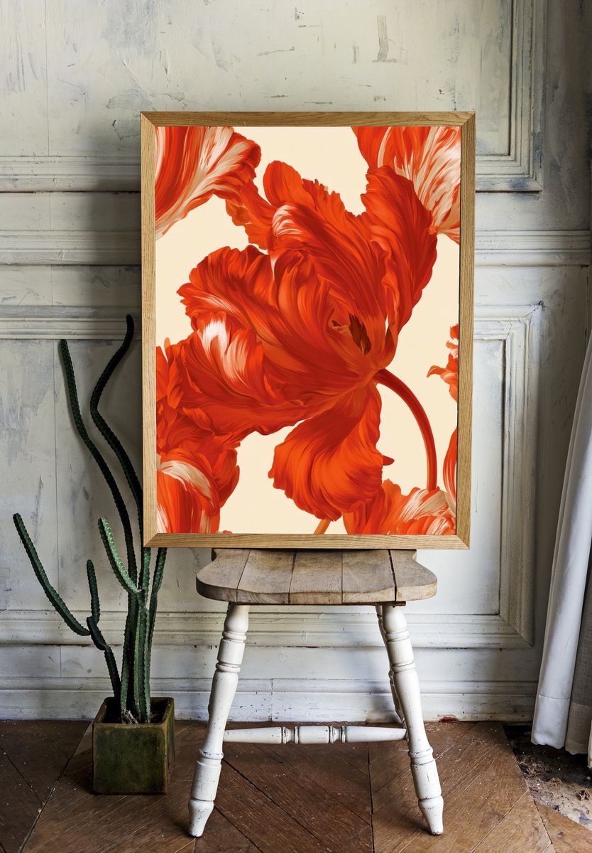 Red Tulip Bloom Illustration Poster. — room view 1