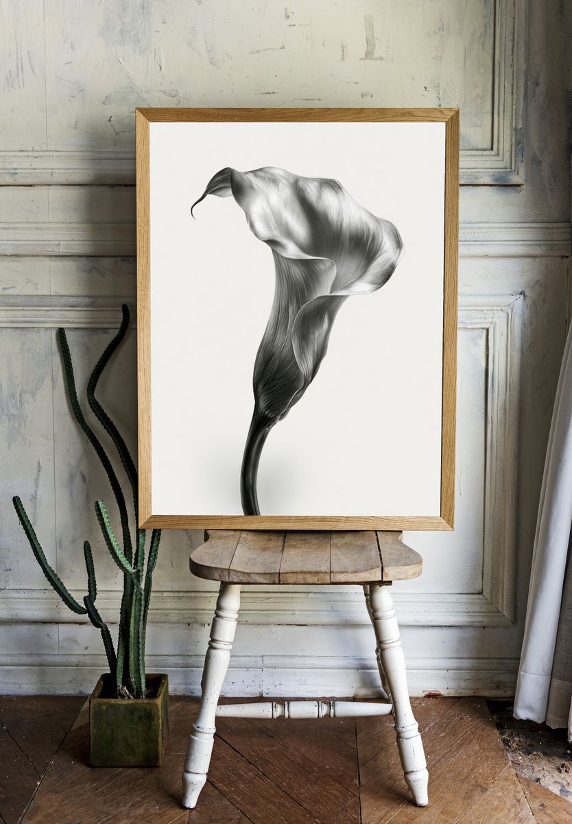 Calla Lily Monochrome Print. room preview