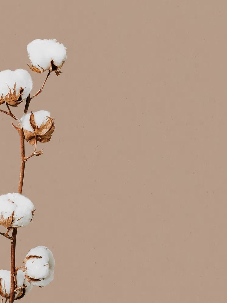Natural dried flower floral background. poster detail
