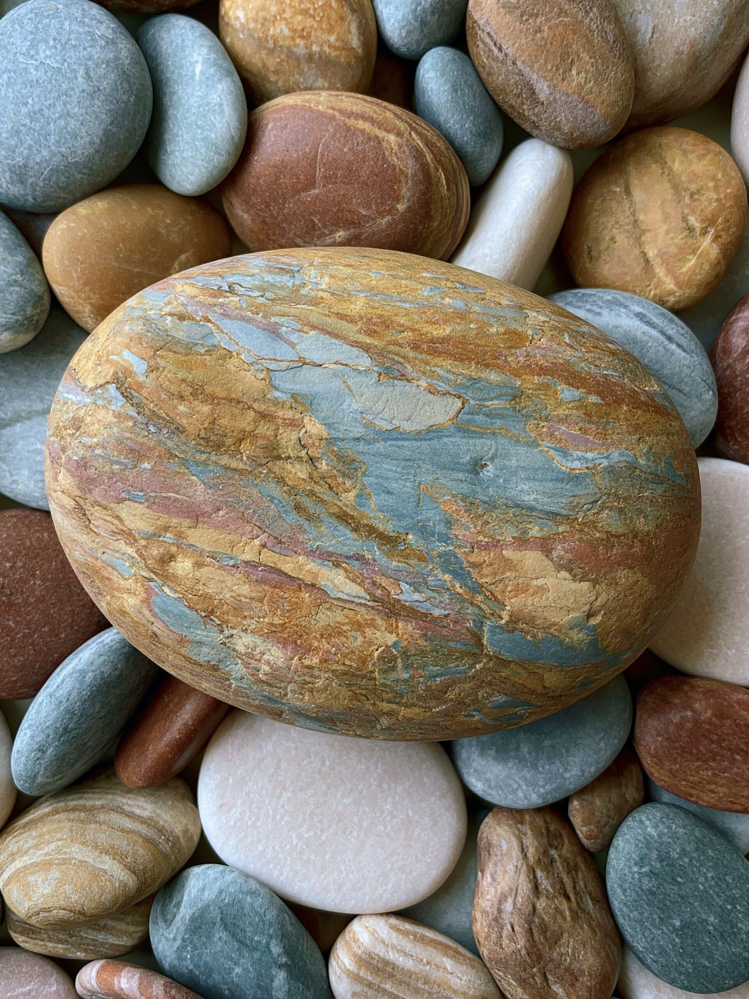 Smooth Pebbles Botanical Print. poster detail