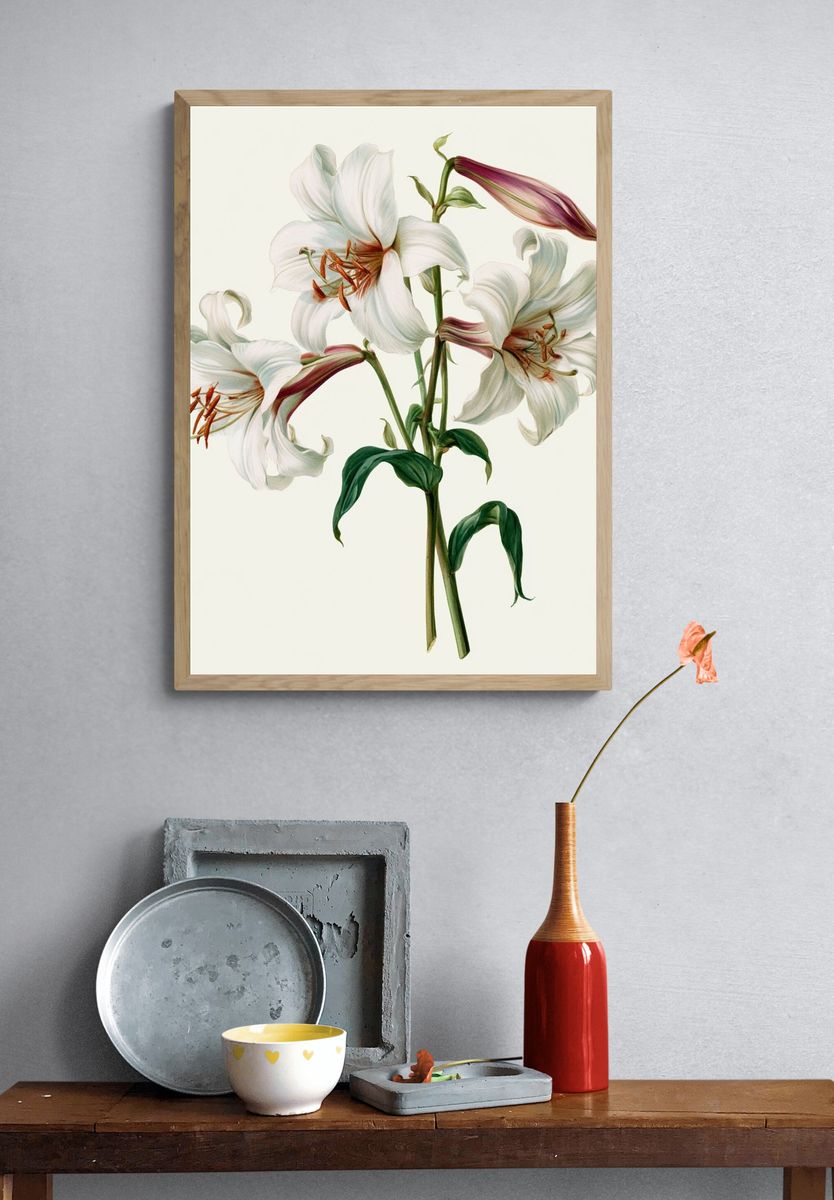 White Lily Botanical Print. — room view 3