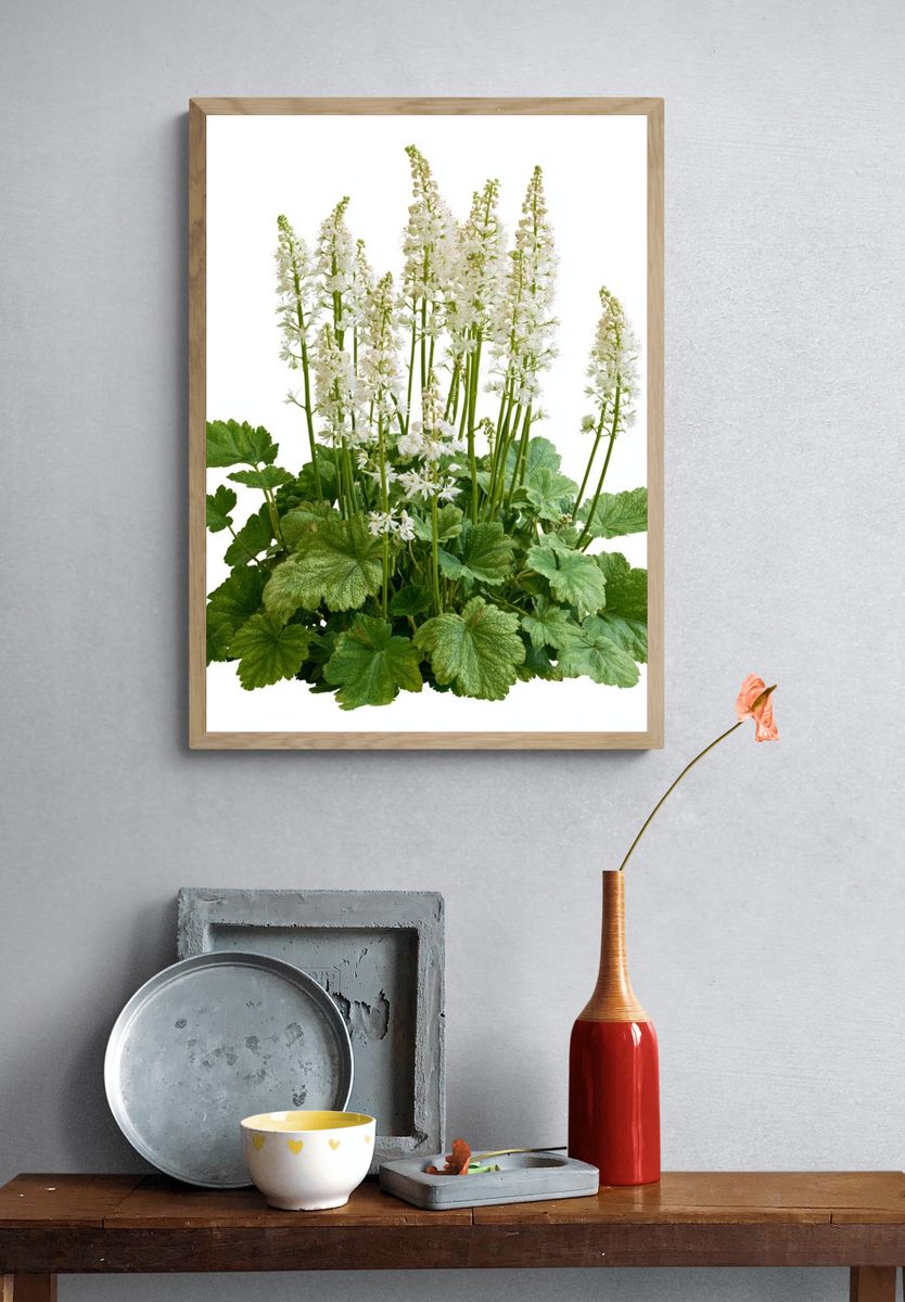 White Woodland Flowers Botanical Print. — room view 3