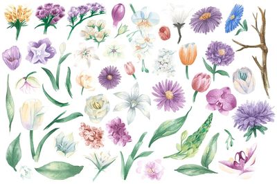 Vintage weatercolor floral ornaments.