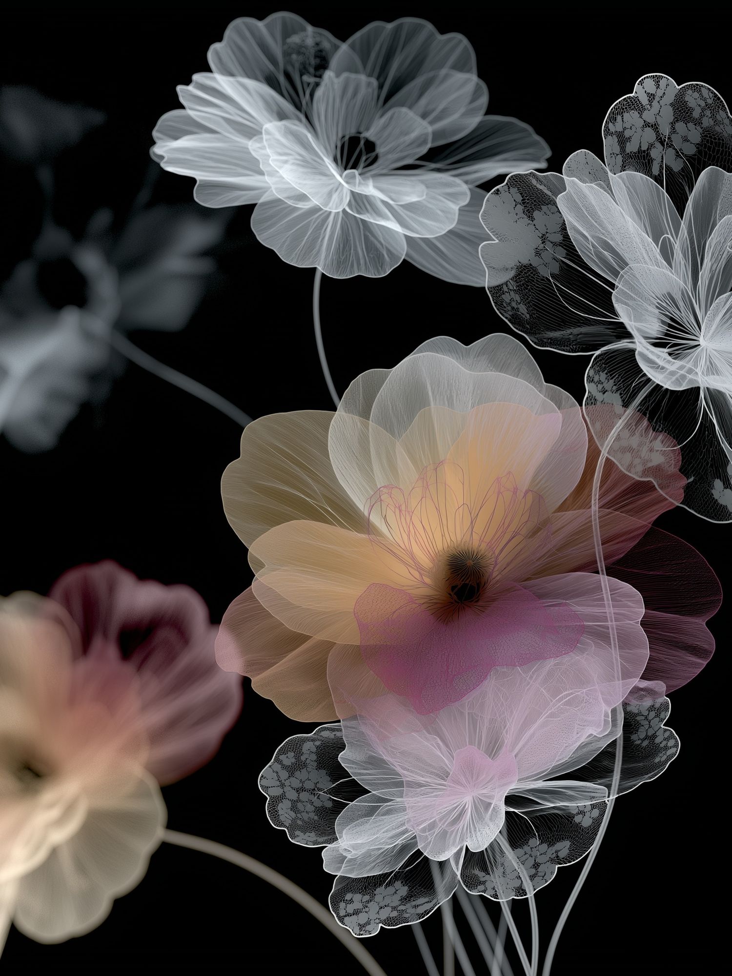 Butterfly and Spider Botanical Print. poster detail