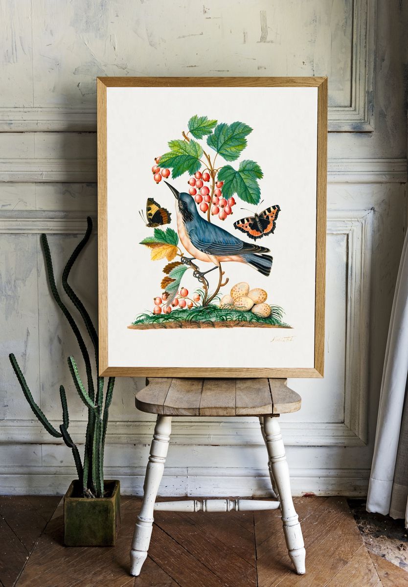Subalpine warbler eggs, strawberry, Red room preview