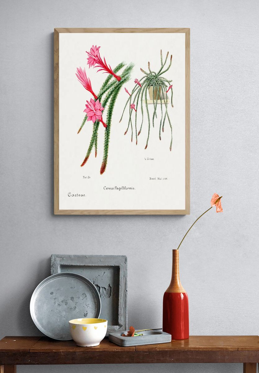 Cactus Flowers — Botanical Print. — room view 3