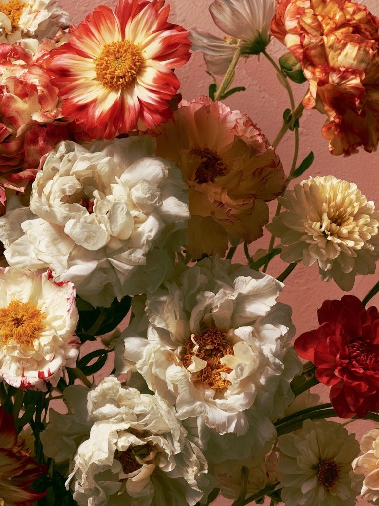Vintage Zinnia Bouquet Print. poster — botanical art