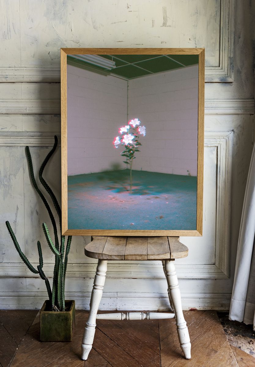 Glowing Flowers in Empty Room Print. — room view 1