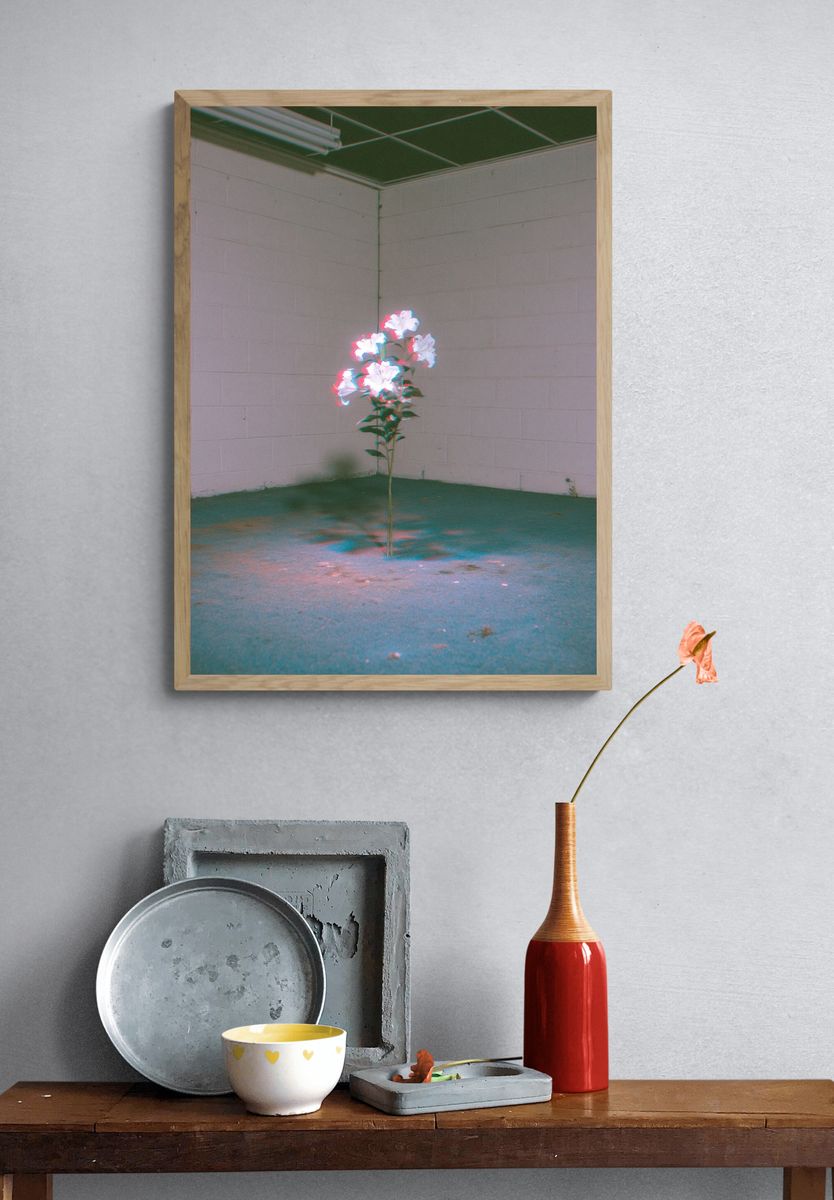 Glowing Flowers in Empty Room Print. — room view 3