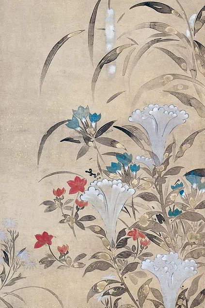 Botanical Blossom Illustration Poster. poster — botanical art