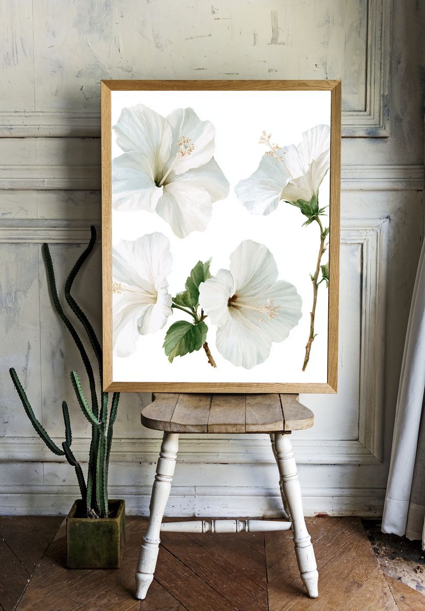 White Hibiscus Botanical Poster. room preview