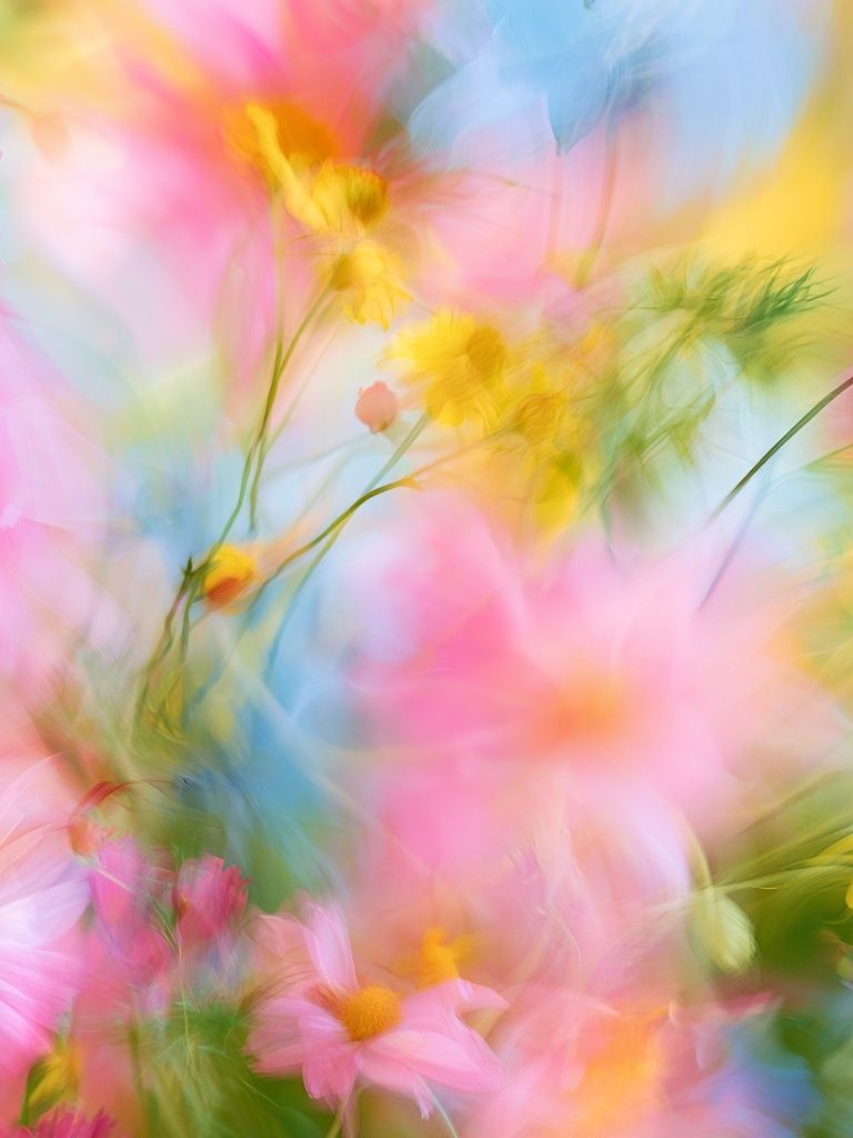Pastel Wildflower Blur Print. poster — botanical art