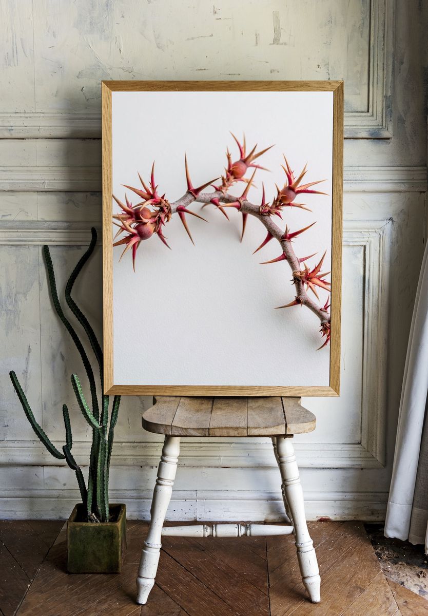 Spiny Branch Botanical Print. — room view 1