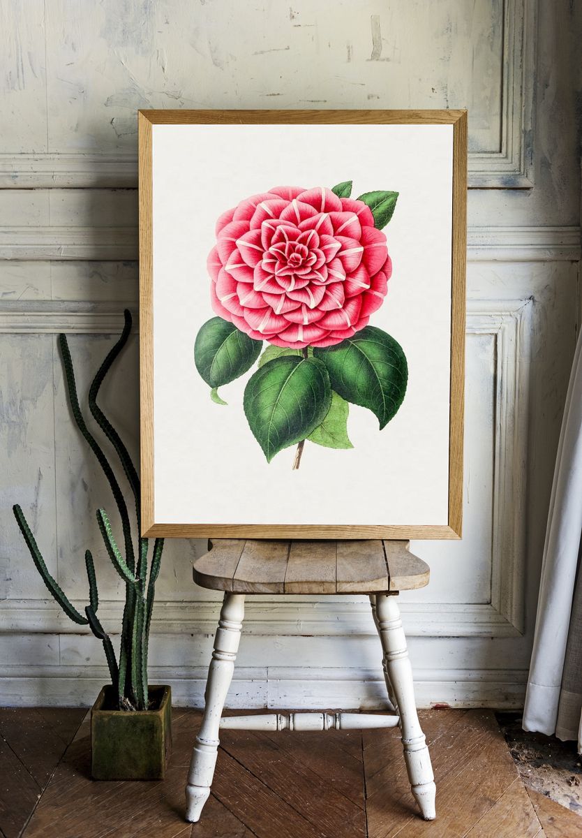 Hand drawn red camellia. Original. — room view 1