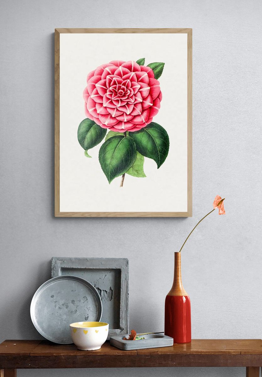 Hand drawn red camellia. Original. — room view 3