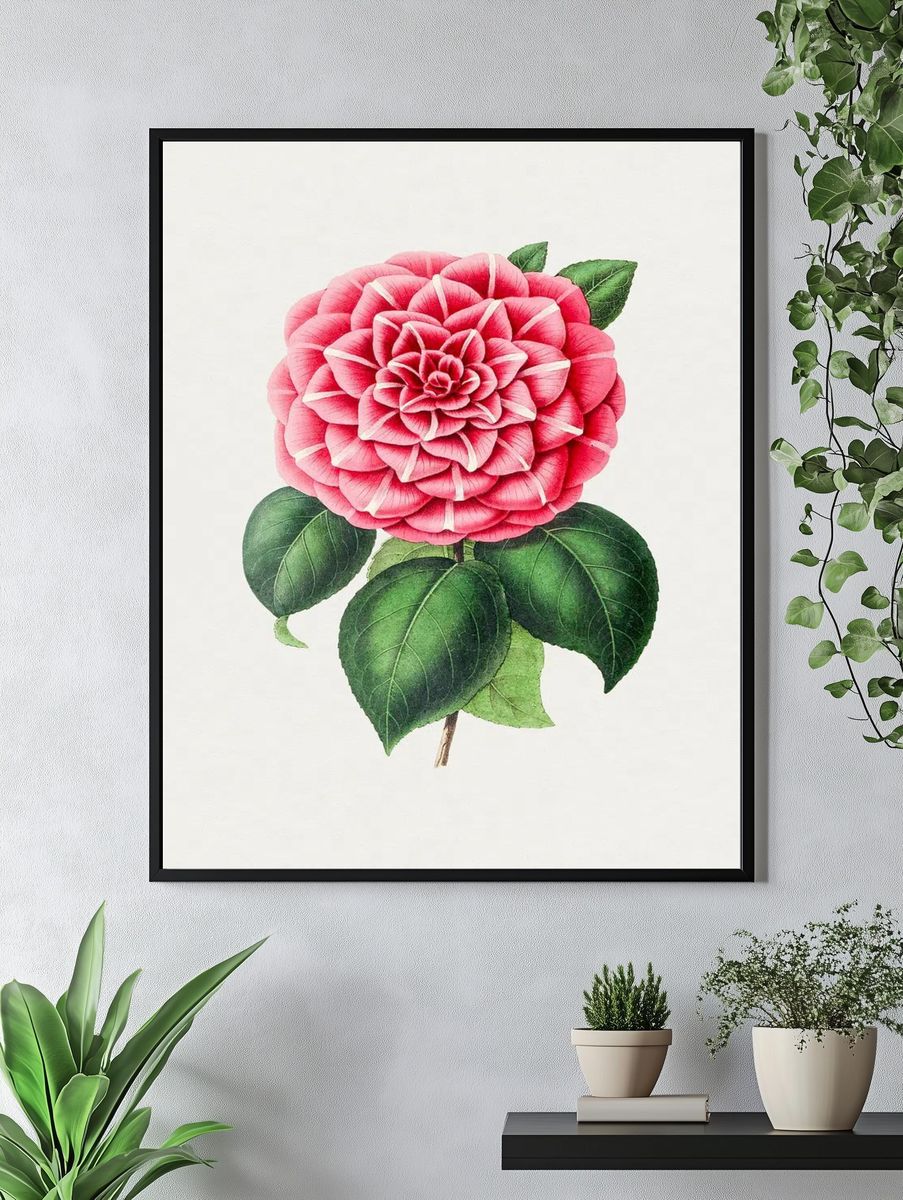 Hand drawn red camellia. Original. — room view 4