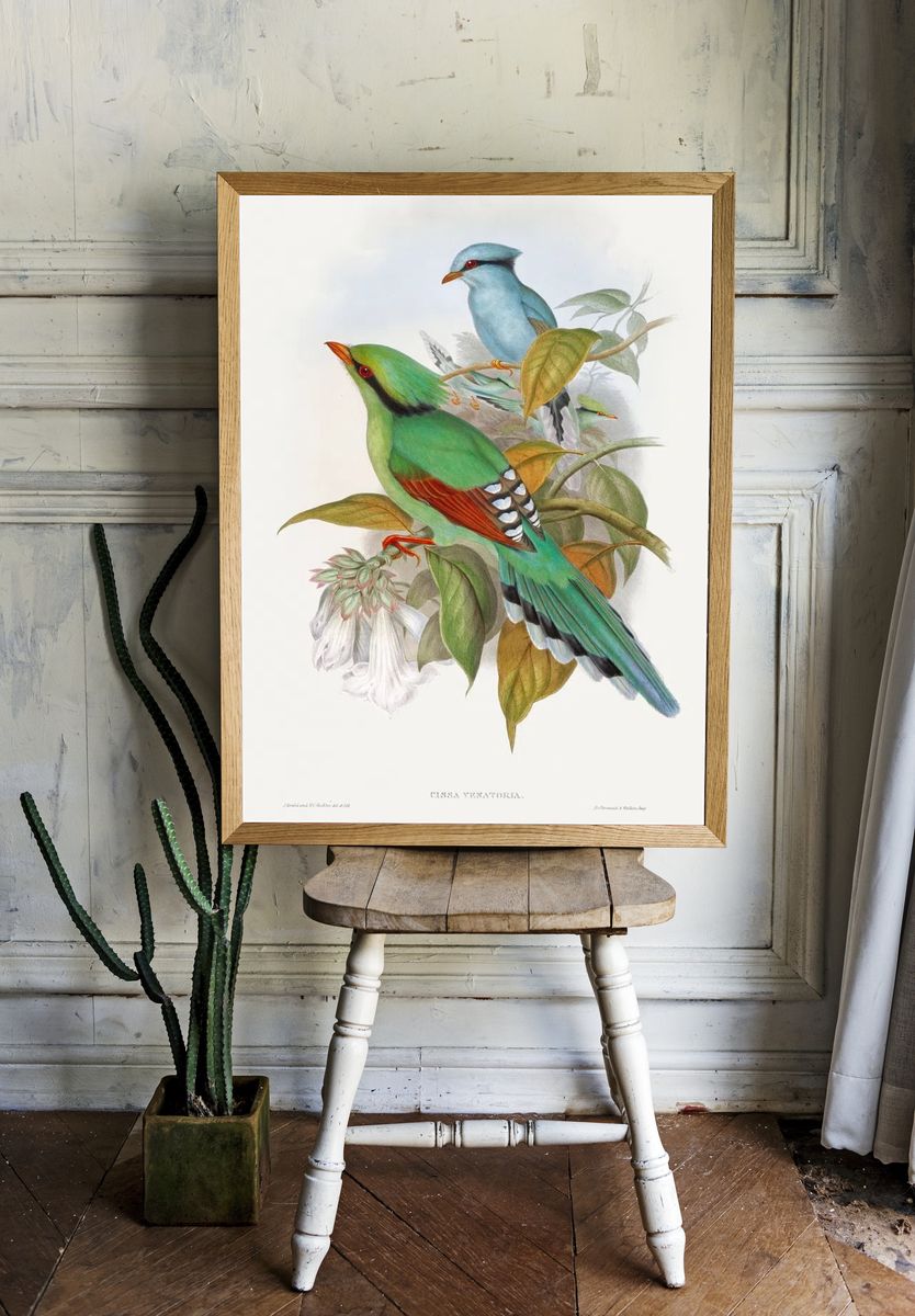 Cissa Venatoria (1850–1883) print high. room preview