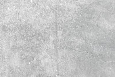 Gray star gooseberry leaf textured.