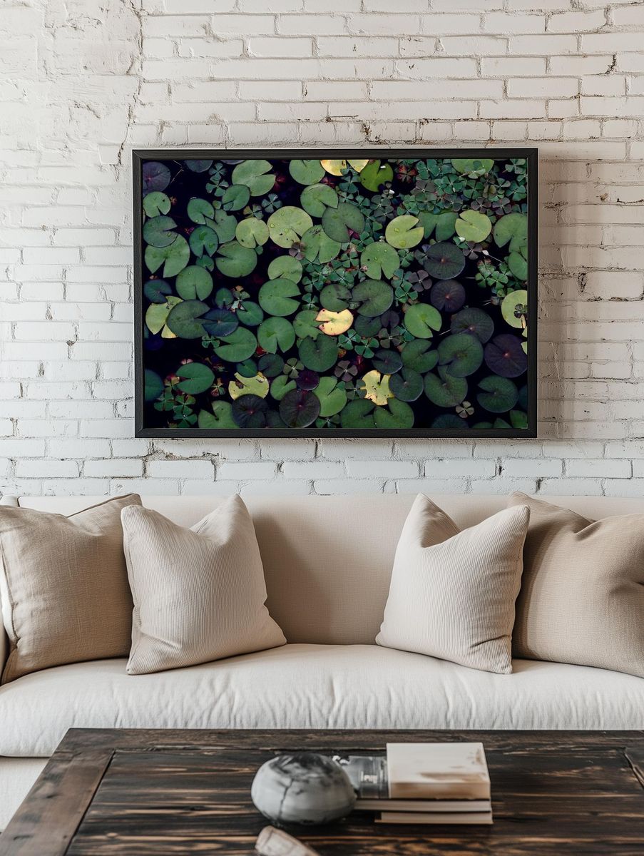 Water lily pond. Free public. — room view 1