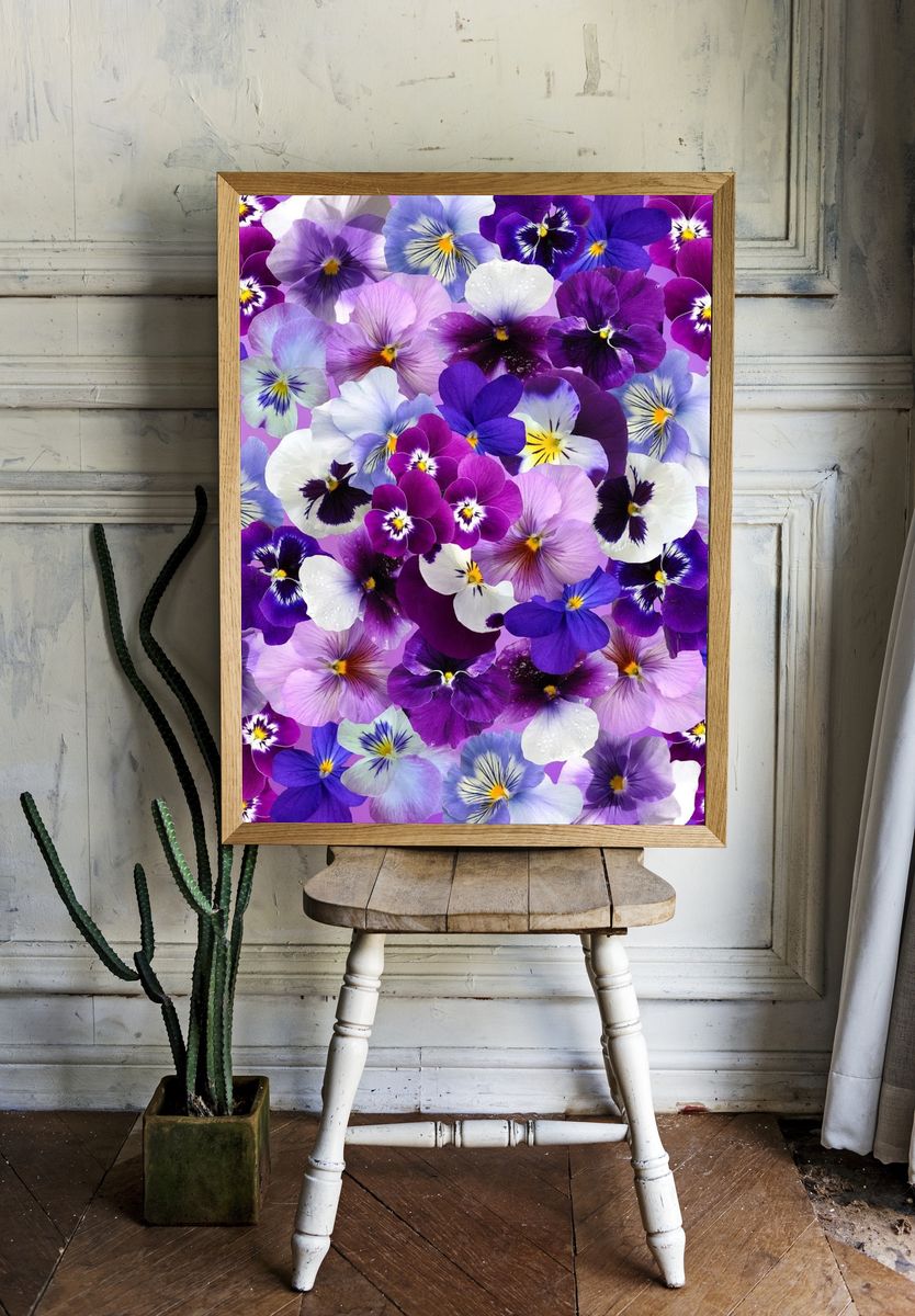 Free purple flower image, public. — room view 1