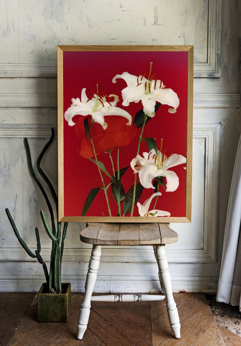 White Lilies on Red Background Poster room preview