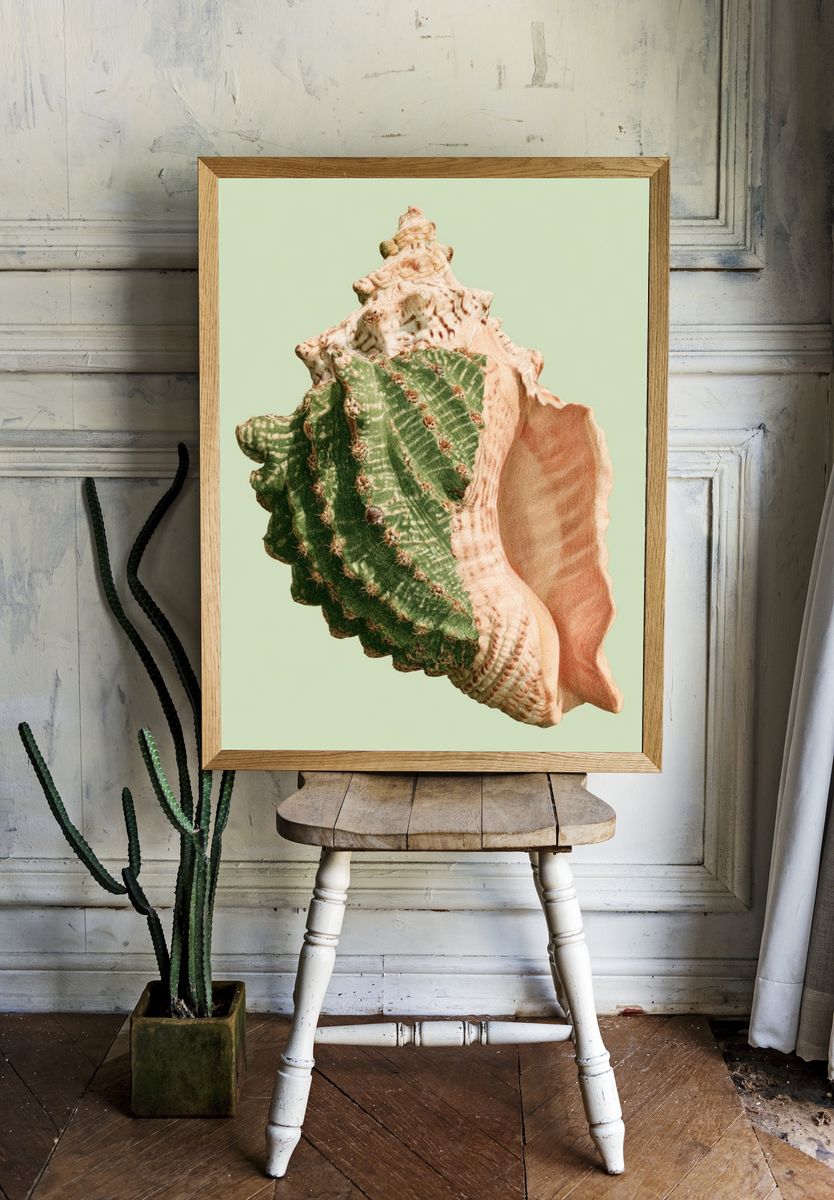 Seashell Botanical Print. — room view 1