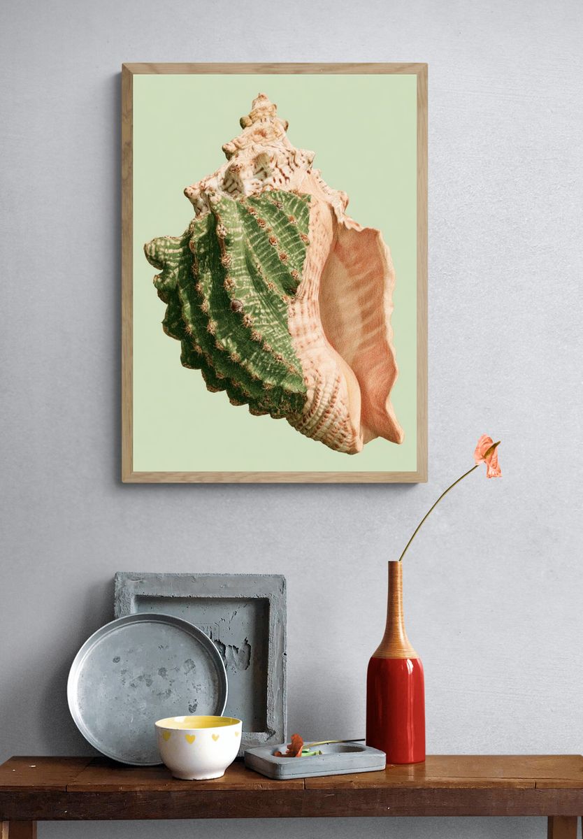 Seashell Botanical Print. — room view 3