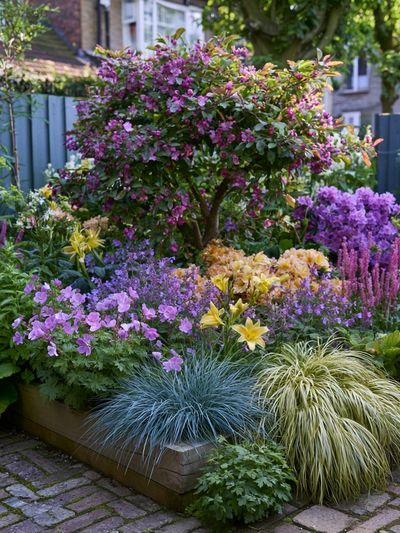 Cottage Garden Bloom Poster. poster