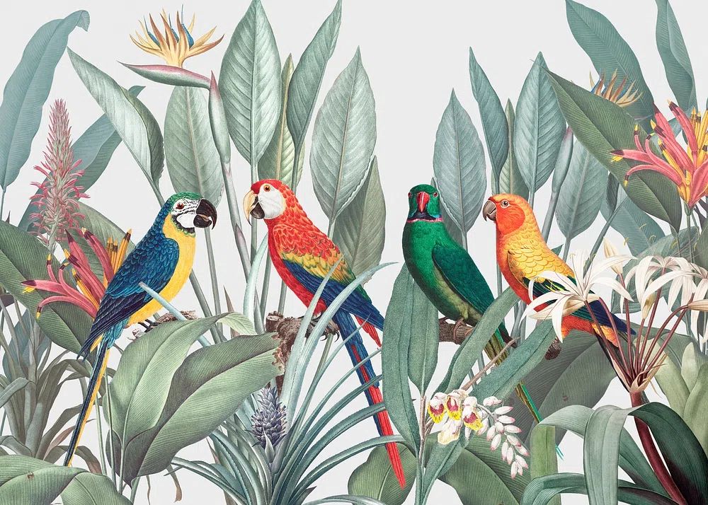 Colorful macaws tropical background illustration. poster detail