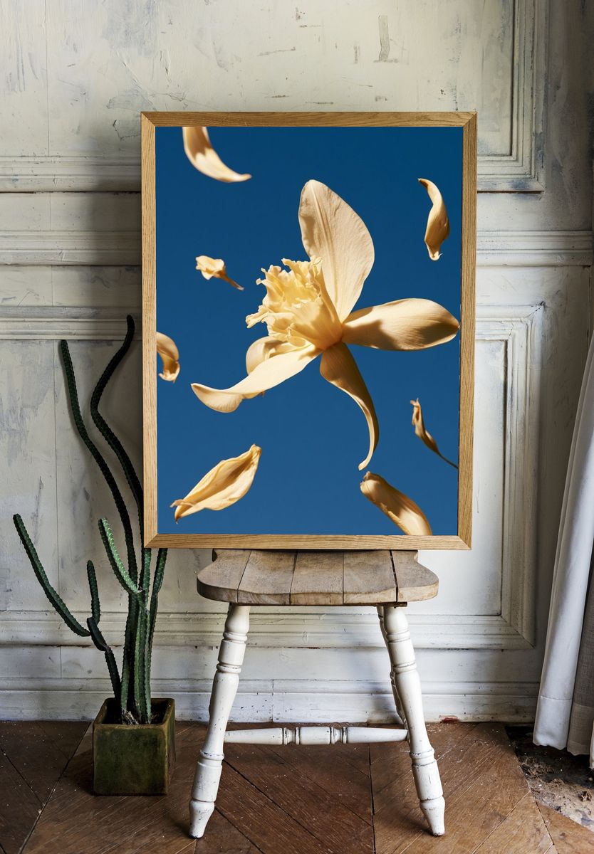 Floating Flower Petals Botanical Print. room preview