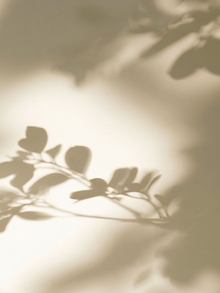 Soft Botanical Shadows Print. poster — botanical art