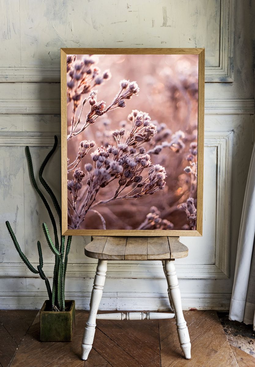 Dead flowers frozen field. room preview