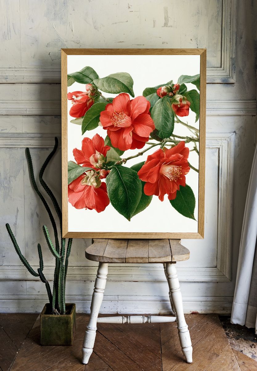 Red Camellia Botanical Print. room preview