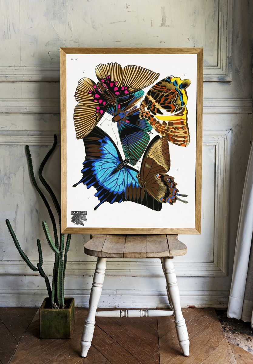 E.A. Séguy 's vintage butterflies. — room view 1