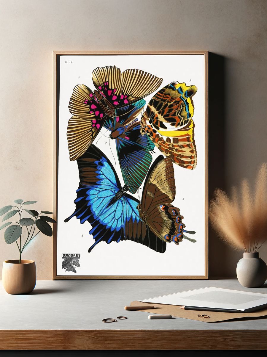 E.A. Séguy 's vintage butterflies. — room view 2