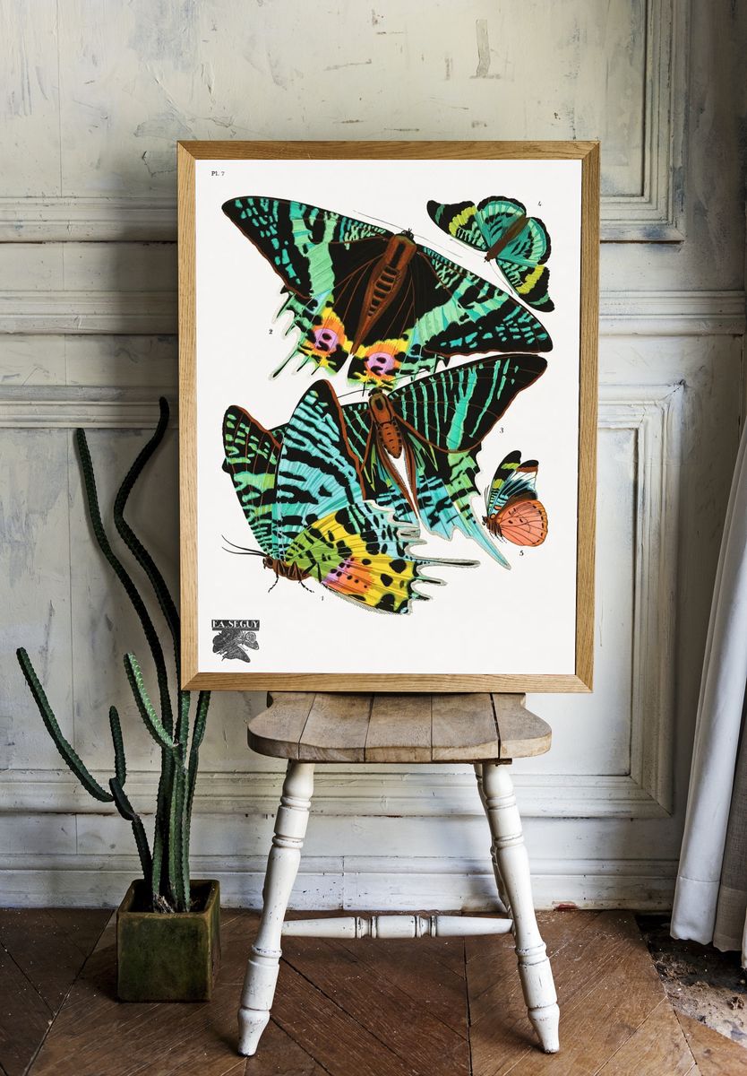 Climbing Vine Botanical Print. — room view 1