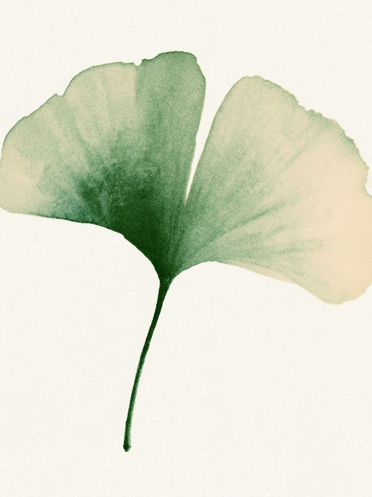 Ginkgo Leaf Watercolor Print. poster detail