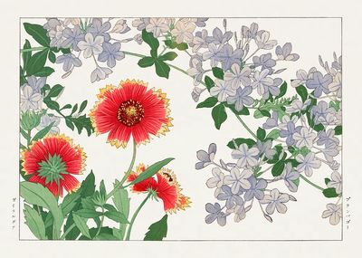 Floral Botanical Illustration Poster.