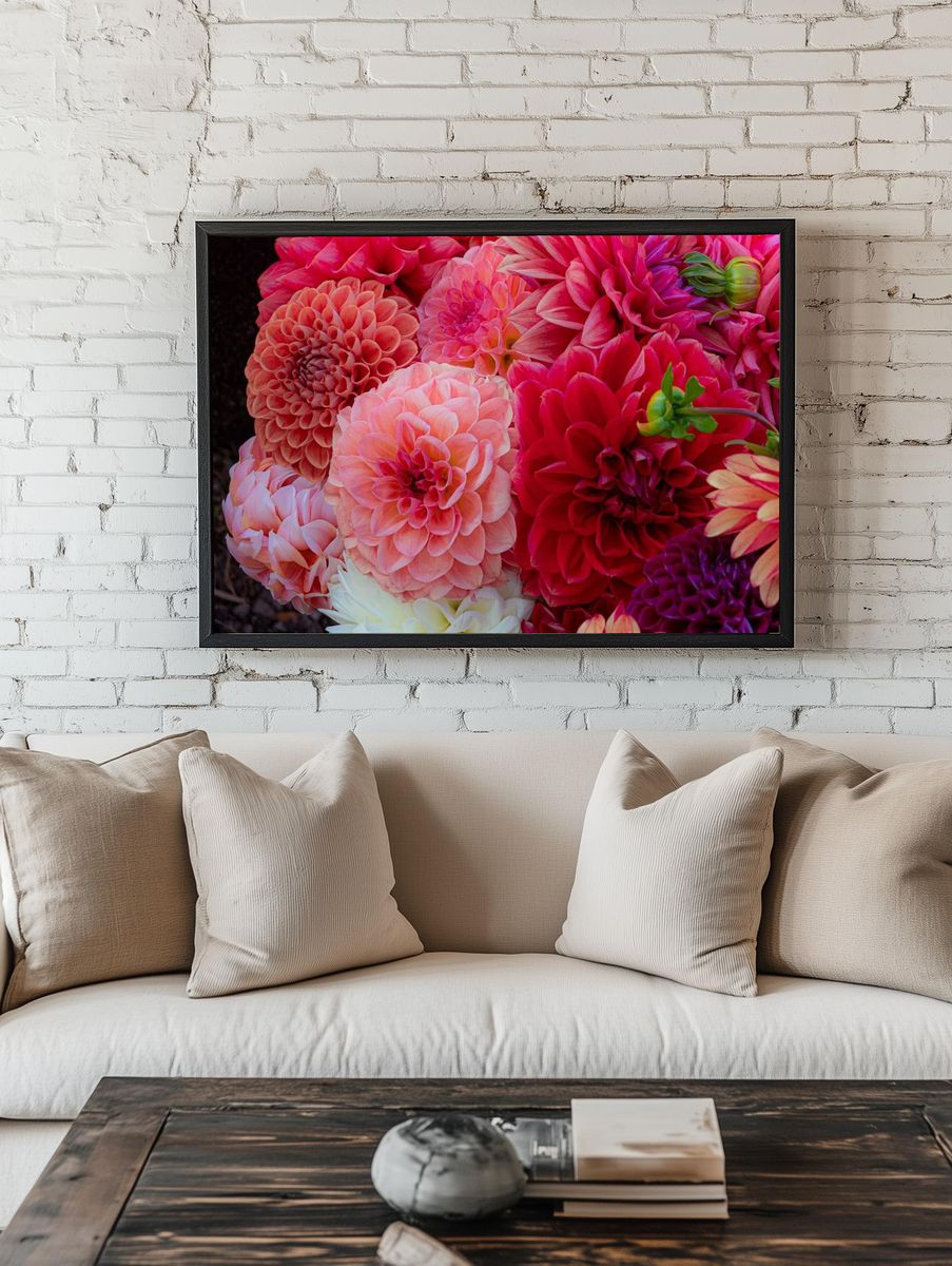 Dahlias soak sun Summer Dreams. room preview