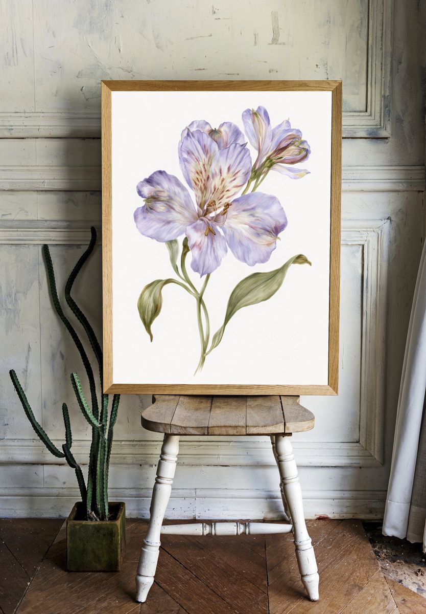Lilac Alstroemeria Botanical Print. — room view 1