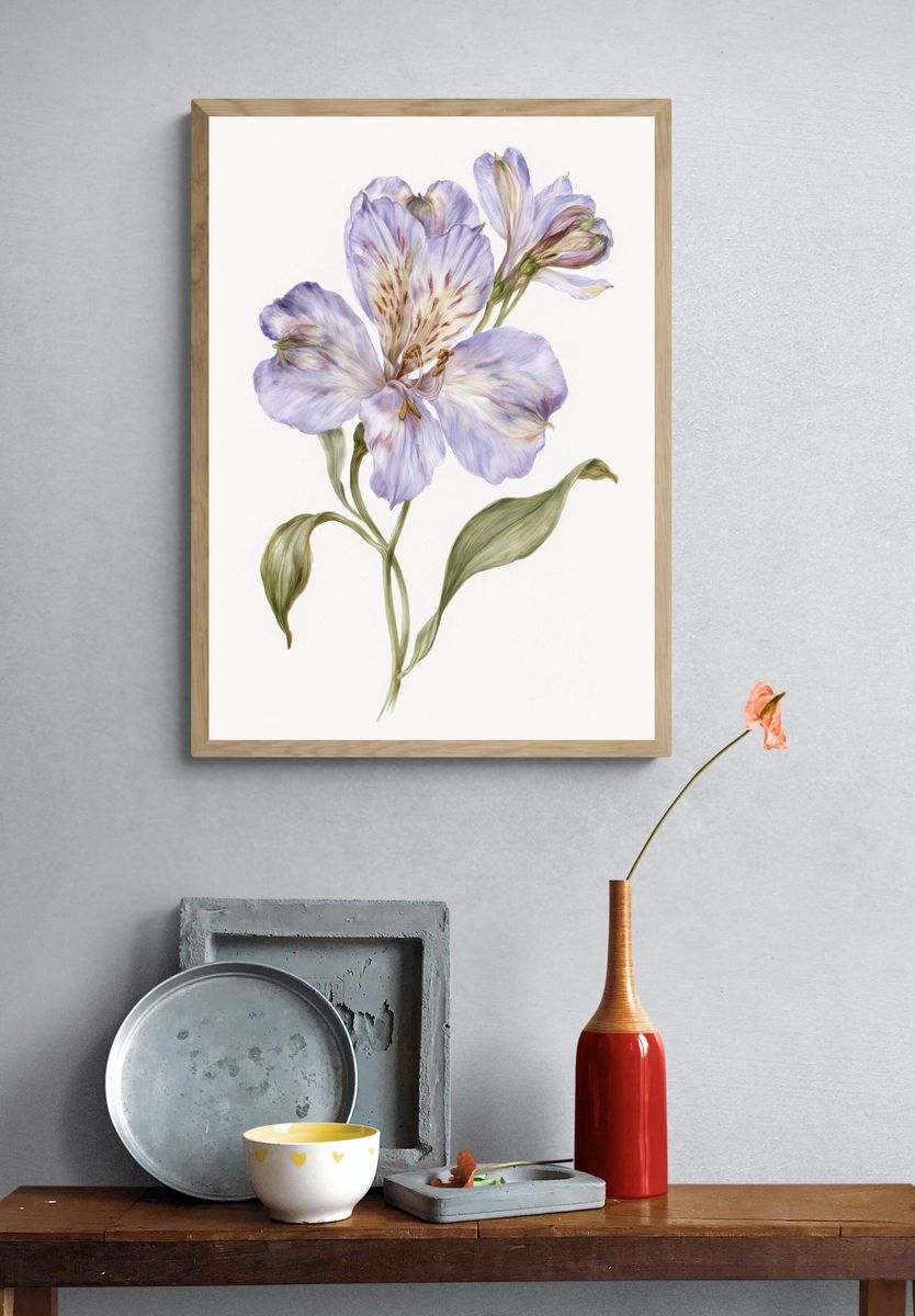 Lilac Alstroemeria Botanical Print. — room view 3