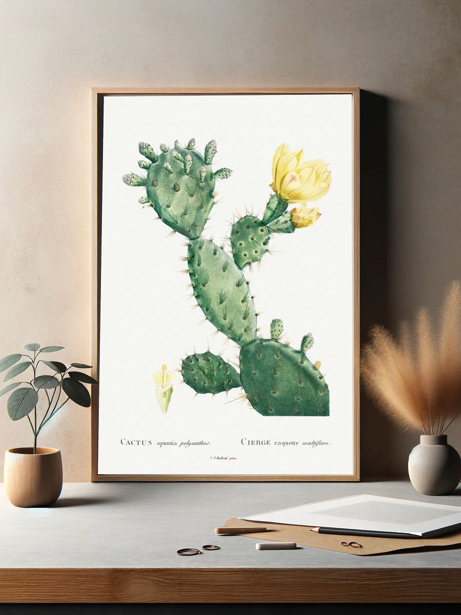 Aloe Opuntia Polyanthos Image Histoire. — room view 2
