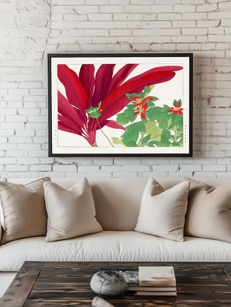 Poinsettia Botanical Illustration Poster room preview