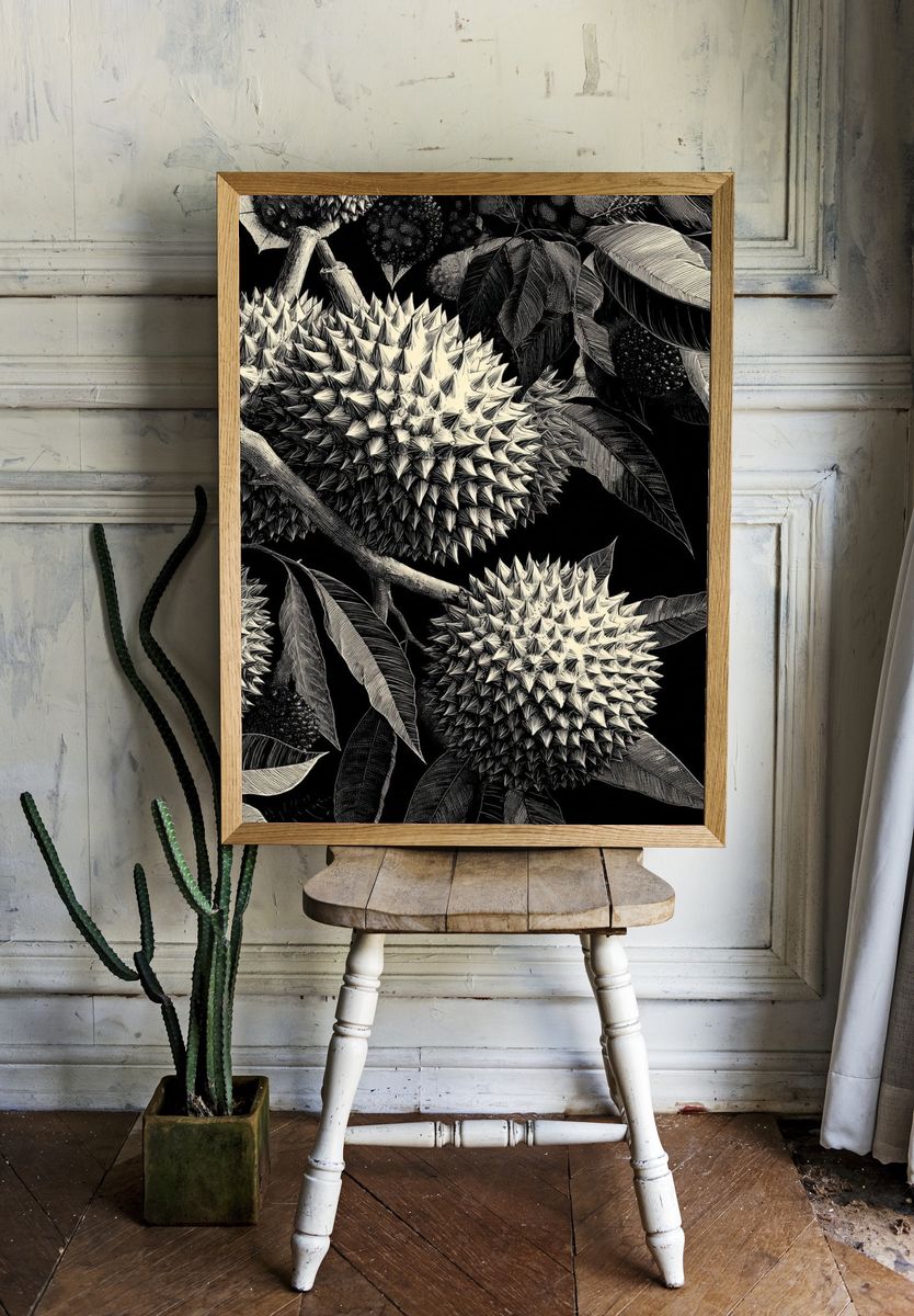 Durian Botanical Ink Poster room preview